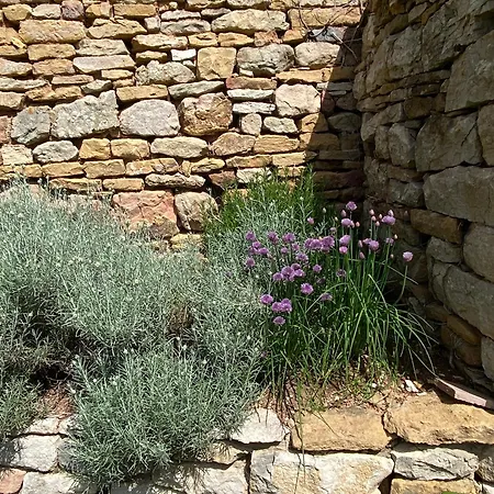 Le Petit Chaudenas - Private Pool And Woodland Holiday home