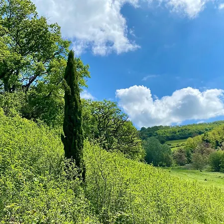 Semesterbostad Le Petit Chaudenas - Piscine Privee Dans Un Vaste Terrain Avec Foret Bray (Saone-et-Loire)