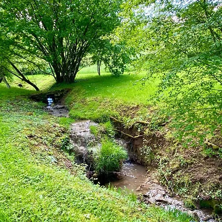 Le Petit Chaudenas - Piscine Privee Dans Un Vaste Terrain Avec Foret * Bray (Saone-et-Loire)