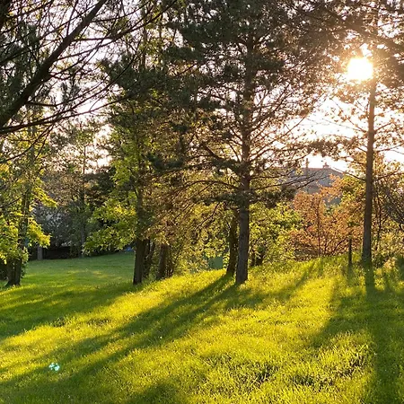 Le Petit Chaudenas - Piscine Privee Dans Un Vaste Terrain Avec Foret *