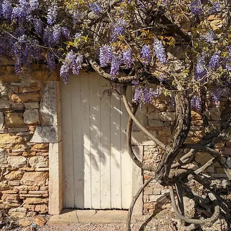 Semesterbostad Le Petit Chaudenas - Piscine Privee Dans Un Vaste Terrain Avec Foret