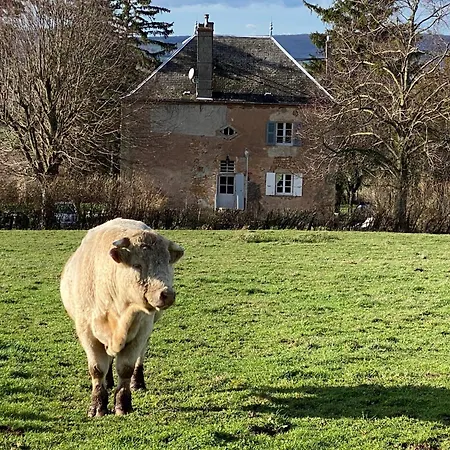 Tatil Evi Le Petit Chaudenas - Piscine Privee Dans Un Vaste Terrain Avec Foret *
