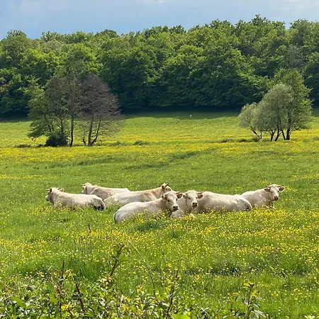 Tatil Evi Le Petit Chaudenas - Piscine Privee Dans Un Vaste Terrain Avec Foret Bray (Saone-et-Loire)