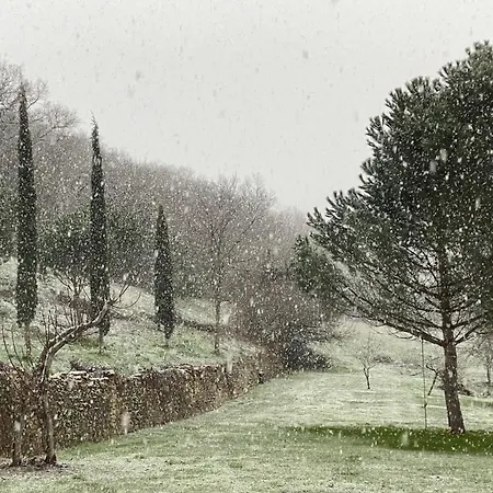 Le Petit Chaudenas - Piscine Privee Dans Un Vaste Terrain Avec Foret Tatil Evi