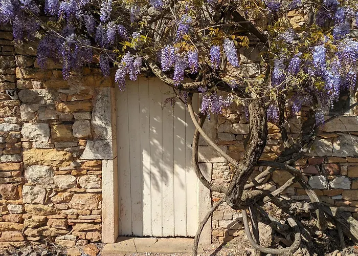 Semesterbostad Le Petit Chaudenas - Piscine Privee Dans Un Vaste Terrain Avec Foret