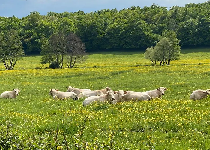 Semesterbostad Le Petit Chaudenas - Piscine Privee Dans Un Vaste Terrain Avec Foret Bray (Saone-et-Loire)